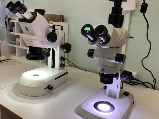 В  Минобрнауки России рассказали, как обновляют приборную базу институтов и вузов