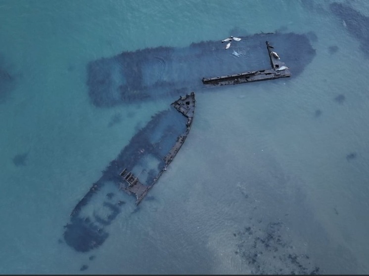 Как нацпроект заботится об экологии России