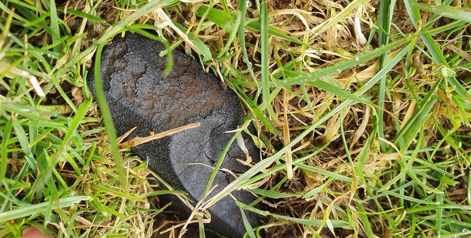 vpervye-za-100-let-v-shotlandii-otkryli-ohotu-na-unikalnyj-meteorit-video-969a21b