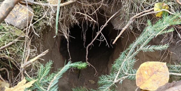 polskie-pogranichniki-obnaruzhili-tunnel-na-granice-s-belarusju-foto-117e449