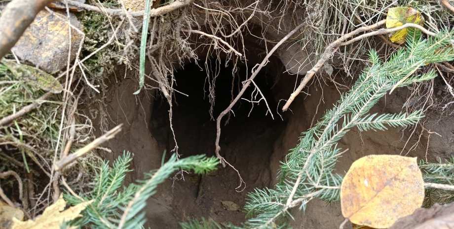 polskie-pogranichniki-obnaruzhili-tunnel-na-granice-s-belarusju-foto-117e449