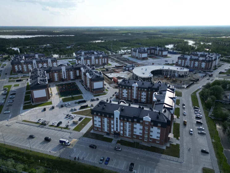 den-stroitelja-kak-strojka-razvivaet-stranu-4e8ed7c