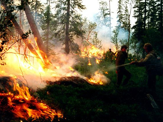 kak-v-rossii-spasajut-legkie-planety-4885812