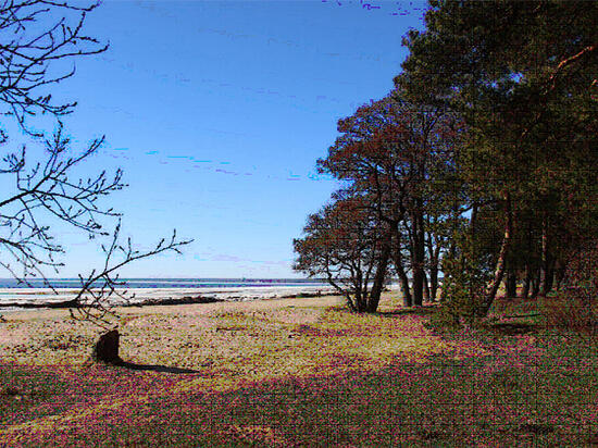 kurs-na-ozdorovlenie-kak-otdohnut-i-podlechitsja-v-sankt-peterburge-aa8b54b