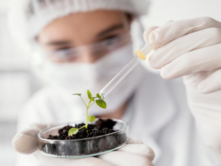 ot-shkolnoj-party-do-agropredprijatija-kak-v-rossii-gotovjat-novoe-pokolenie-kadrov-dlja-apk-2529b23