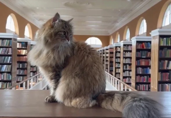 42ddr3-30313b2fccb7f18aa9617b9116dce0a0