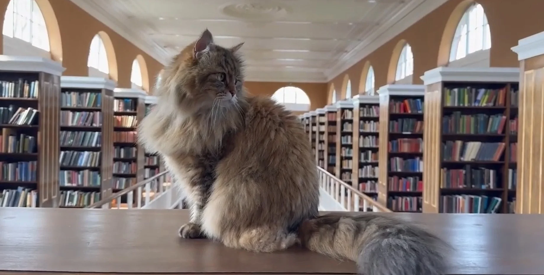 42ddr3-30313b2fccb7f18aa9617b9116dce0a0