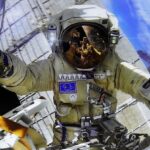 owl_detail_620_1b0de785cb48b64fda0c4c2847dd9948