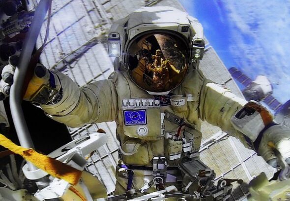 owl_detail_620_1b0de785cb48b64fda0c4c2847dd9948