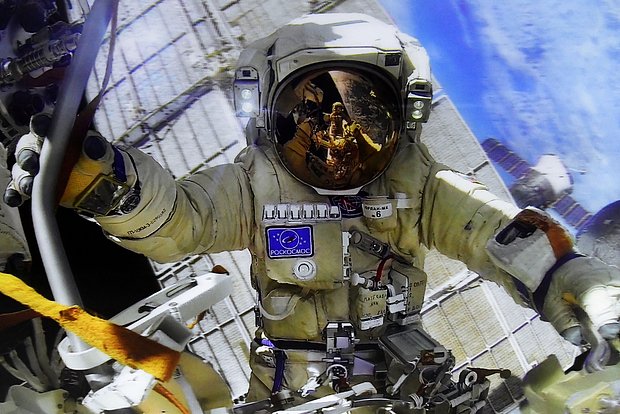 owl_detail_620_1b0de785cb48b64fda0c4c2847dd9948