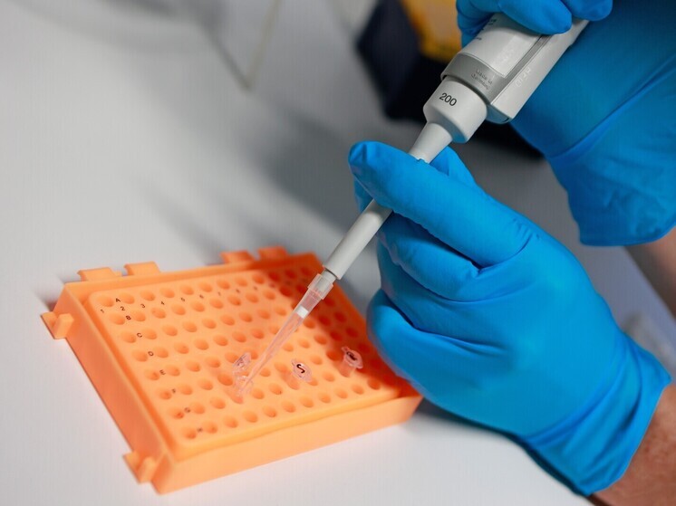 Европейцев в эпоху неолита погубили болезни и пришельцы из степей