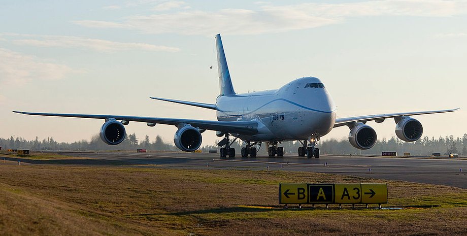 Один из них пережил десятичасовой перелет на высоте более 12 километров