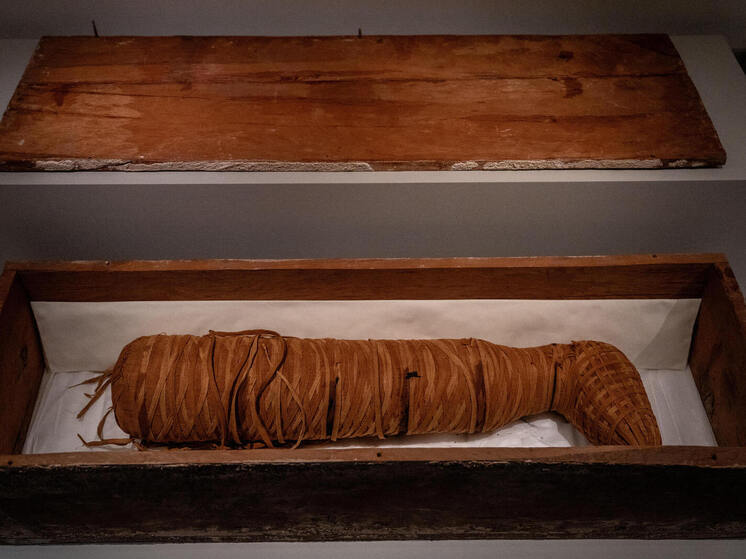 Археологи нашли литературный папирус внутри древнеегипетской мумии