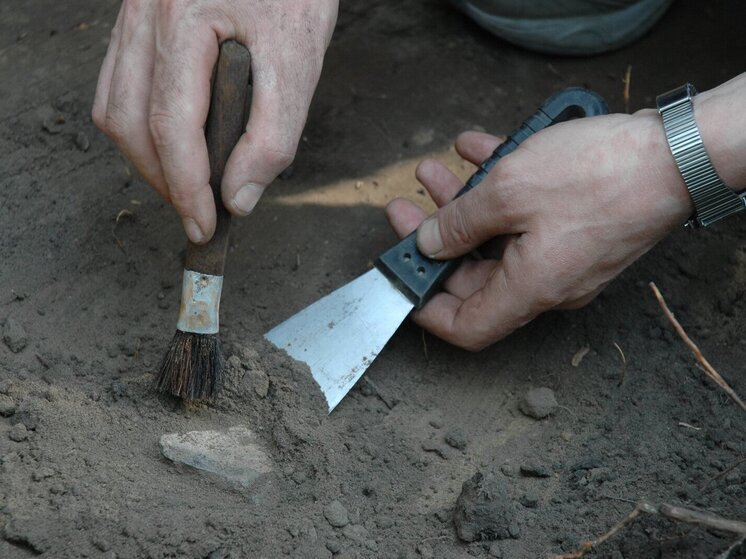 Новые окаменелости могут переписать историю происхождения жизни на Земле
