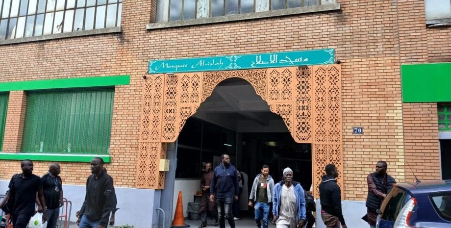 свиная голова свиная голова