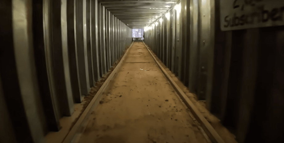 Туннель Дмитриев призвал Маска реализовать проект